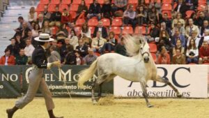 sicab_sevilla