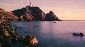 image (5)