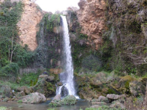 image (5)