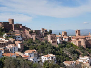 image (6)