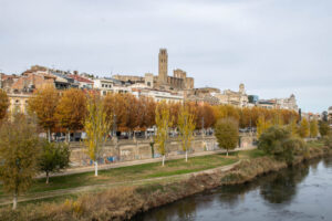 DSC_0115-10-768x512
